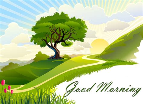 good morning video free download|morning nature video download.